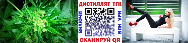 как найти   Казань  Дистиллят ТГК THC oil 